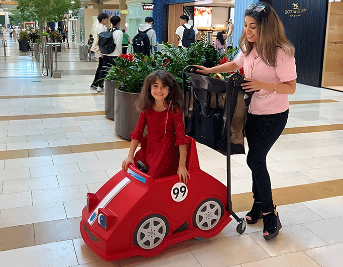 Commercial Mall Strollers (Cuddle Lock System)